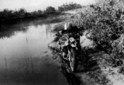 Montesa King Scorpion
